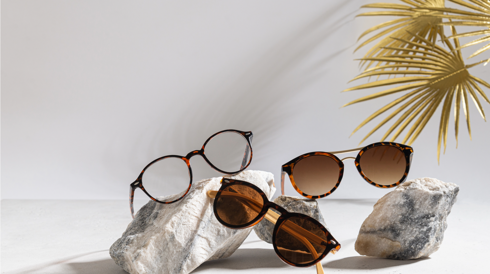 Lenzo Designer Eyes Collections