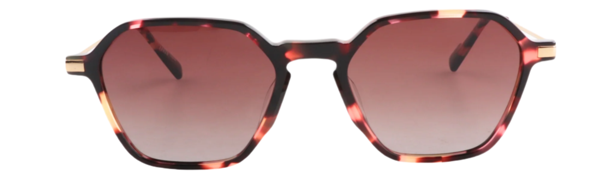 Lenzo Altitude Tortoise Brown Medium