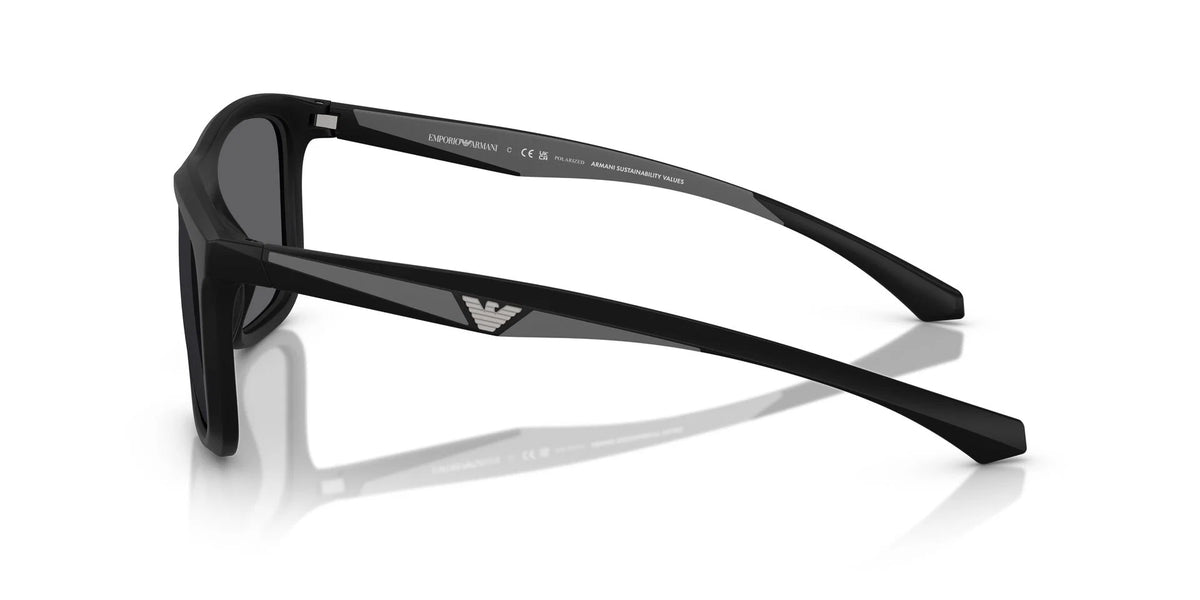 EMPORIO ARMANI 0EA4234U Sunglasses
