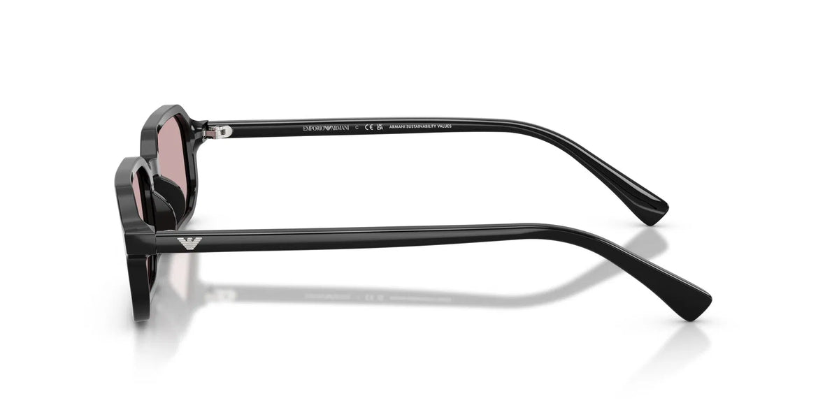 EMPORIO ARMANI 0EA4253U Sunglasses