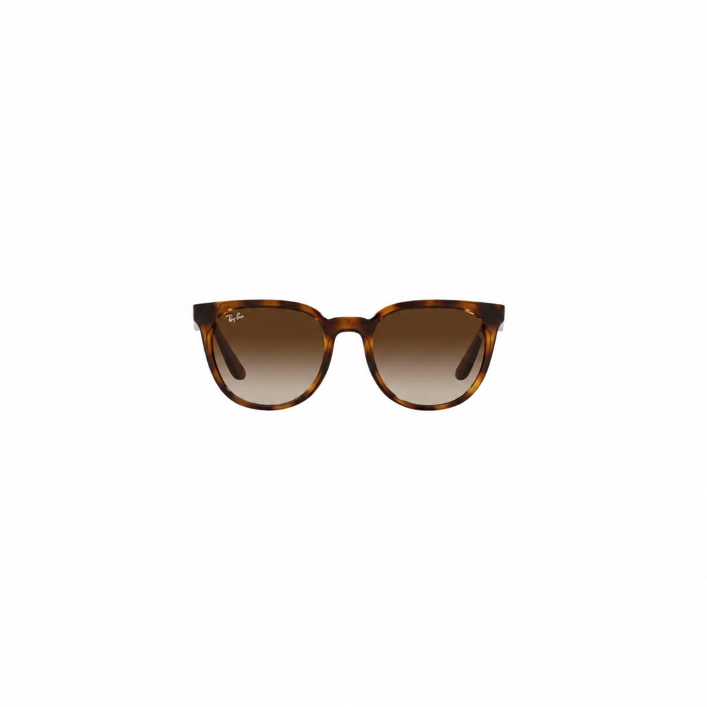 RAY-BAN RB43811 Sunglasses Tortoise Brown Medium