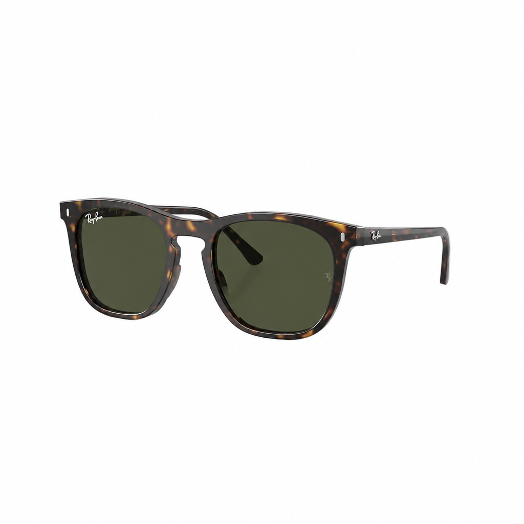 RAY-BAN RB2210 Sunglasses