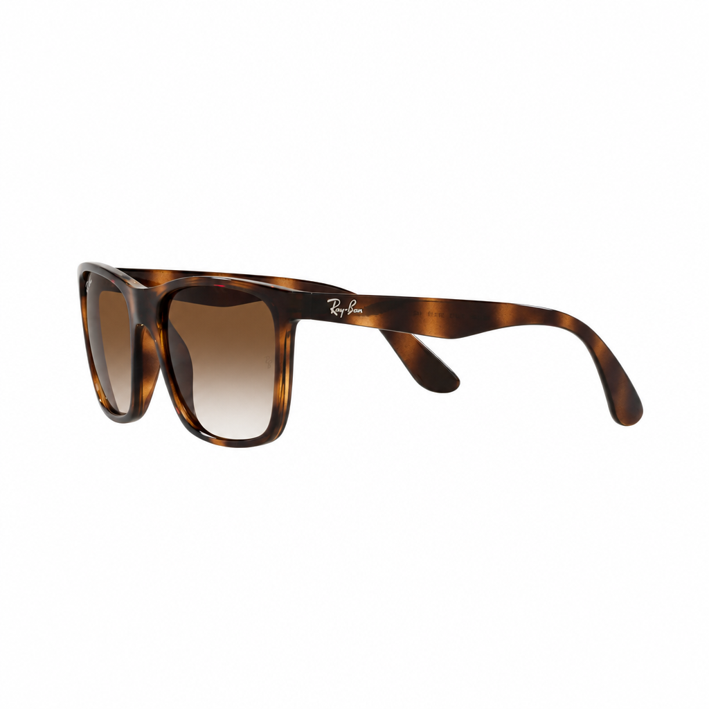 RAY-BAN RB43491 Sunglasses