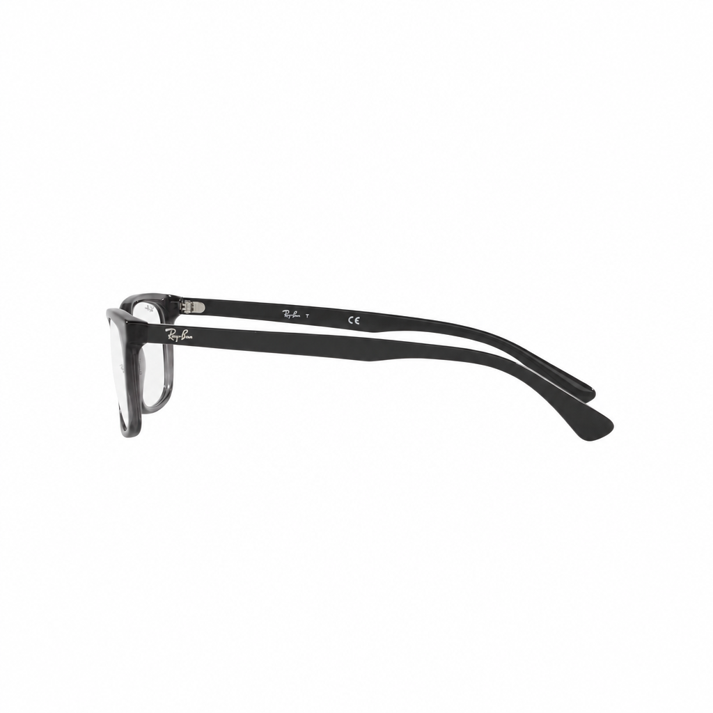RAY-BAN Eyeglasses 0RX5379I