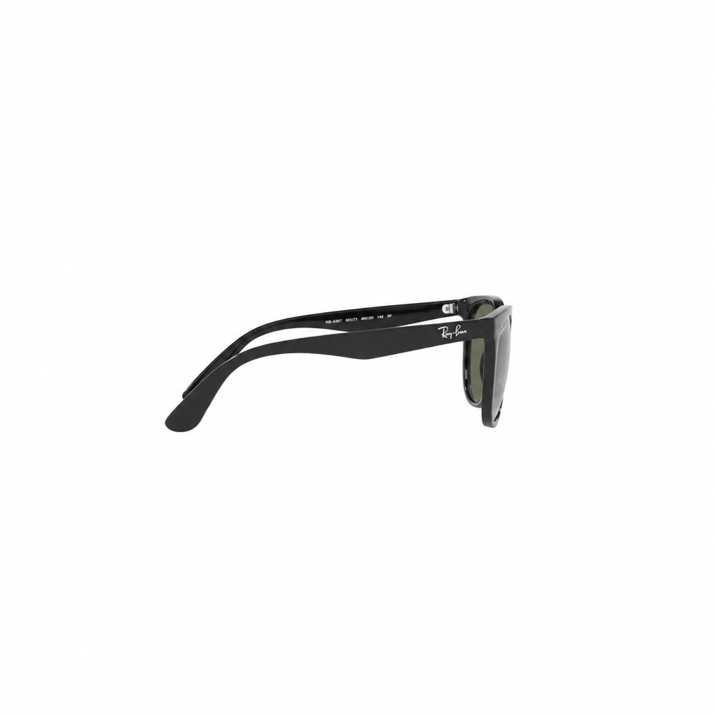 RAY-BAN RB43811 Sunglasses
