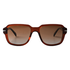 Lenzo Aquamarine Brown Frame with Gradient Brown Lenses Medium