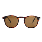 Lenzo Havana Tortoise Brown Frame with Brown Lenses Small