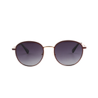 Lenzo La Salle Gold Frame with Smoke Lenses Medium