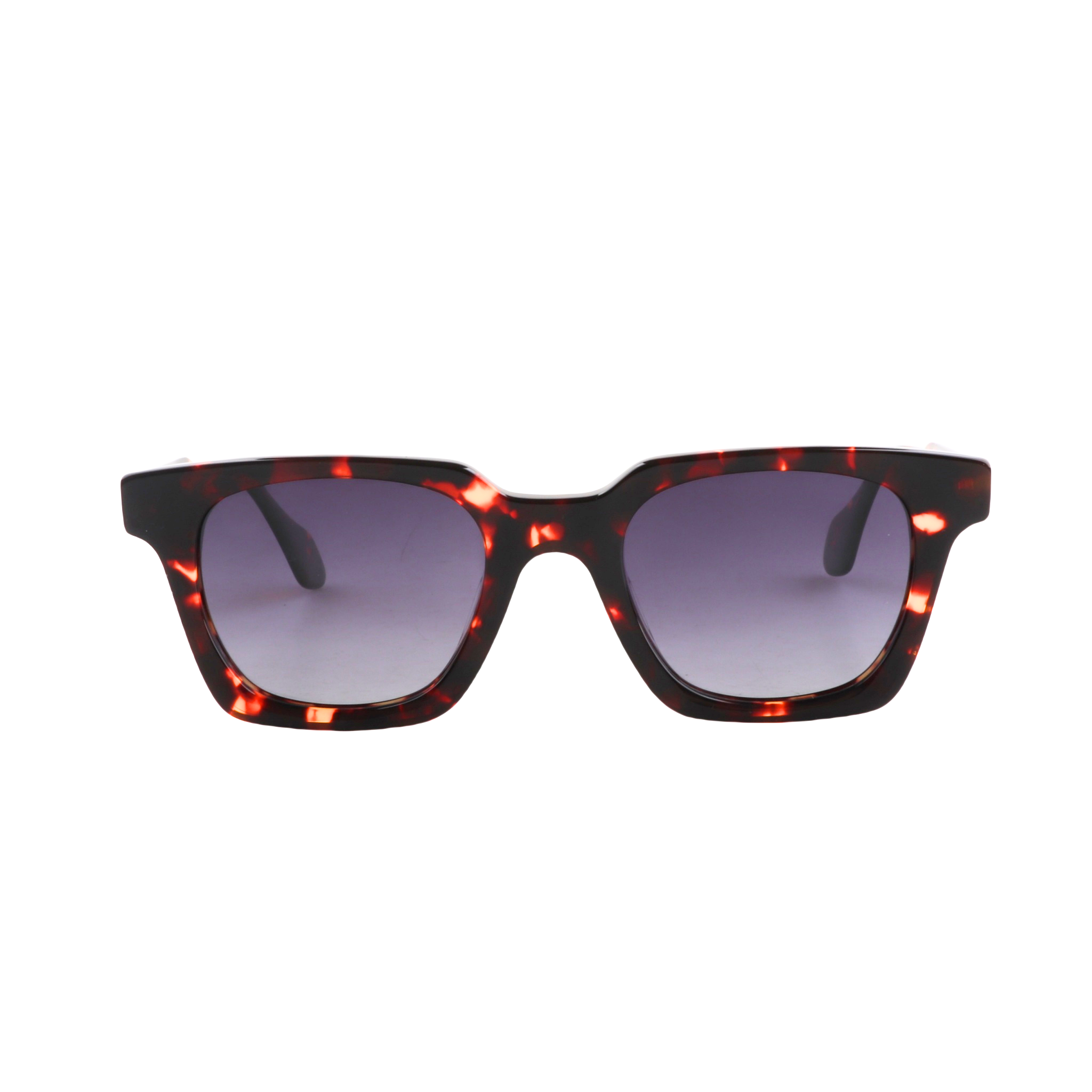 Lenzo Rave Tortoise Brown frame with Black Lenses Medium