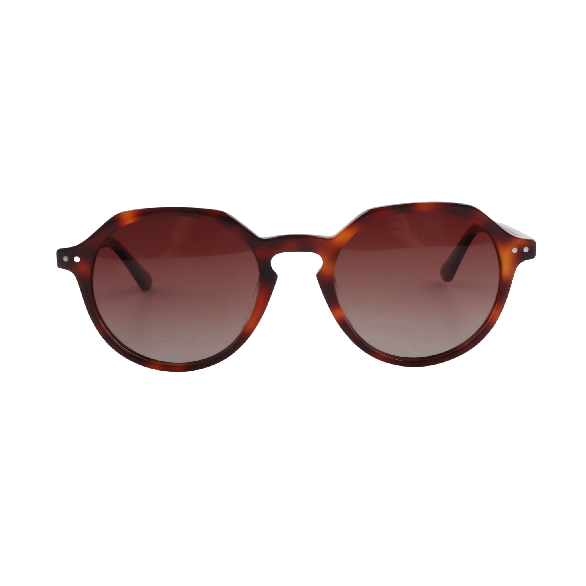 Lenzo Dazzle Tortoise Brown Medium