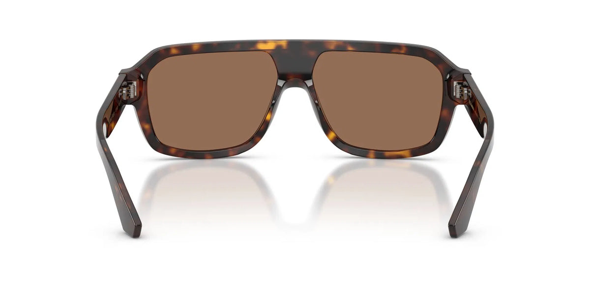 DOLCE & GABBANA 0DG4507 Sunglasses