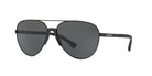 EMPORIO ARMANI 0EA2059 Sunglasses