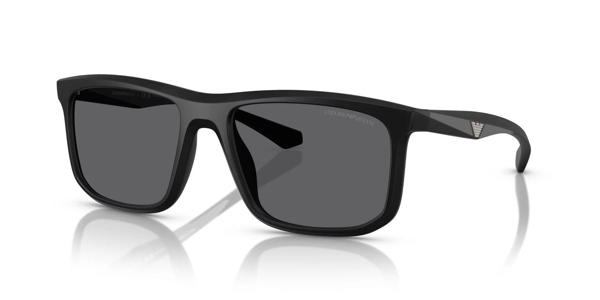 EMPORIO ARMANI 0EA4234U Sunglasses