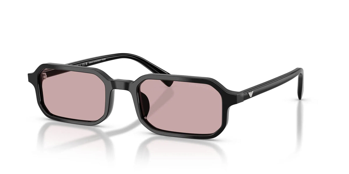 EMPORIO ARMANI 0EA4253U Sunglasses