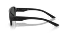 EMPORIO ARMANI 0EA4266U Sunglasses