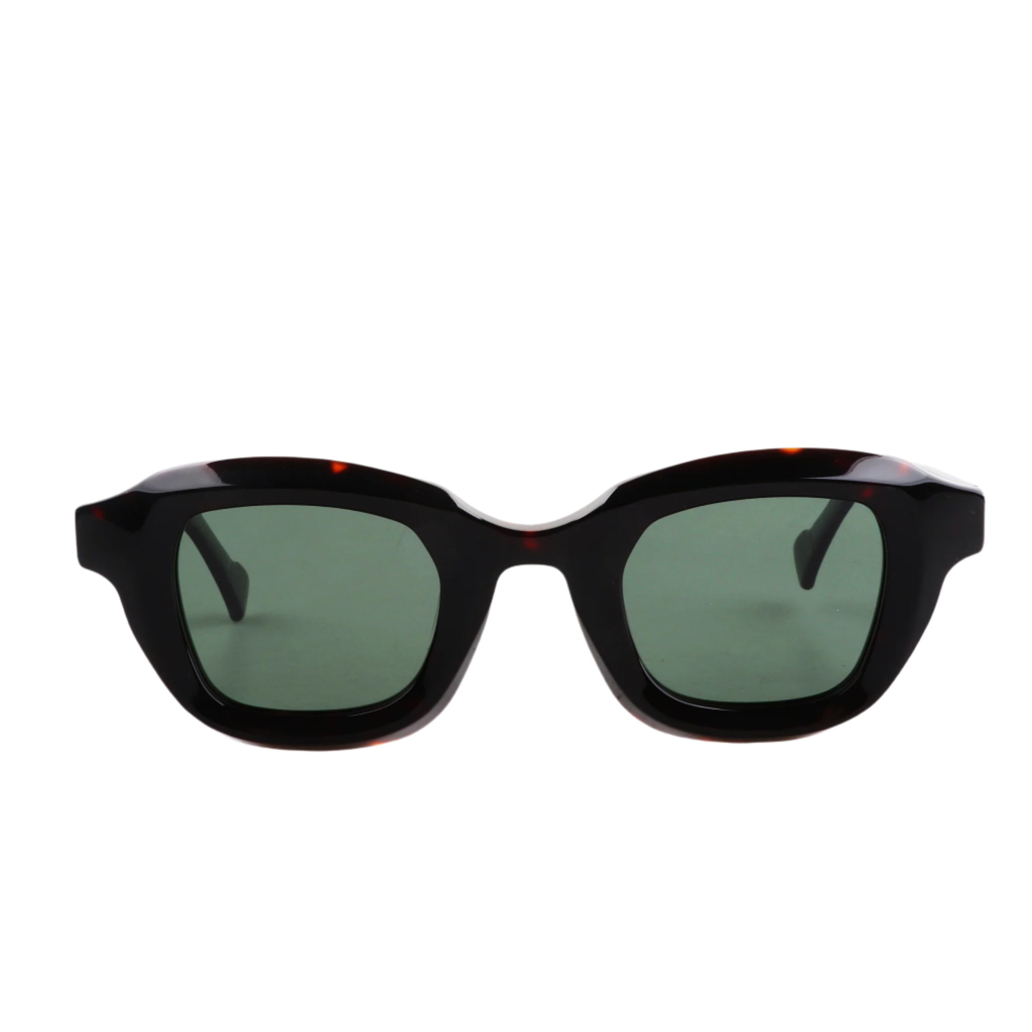 Lenzo Gamboge Black Frame with Green Lenses Medium