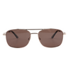 Lenzo Spotlight Gold Frame with Brown Lenses Large