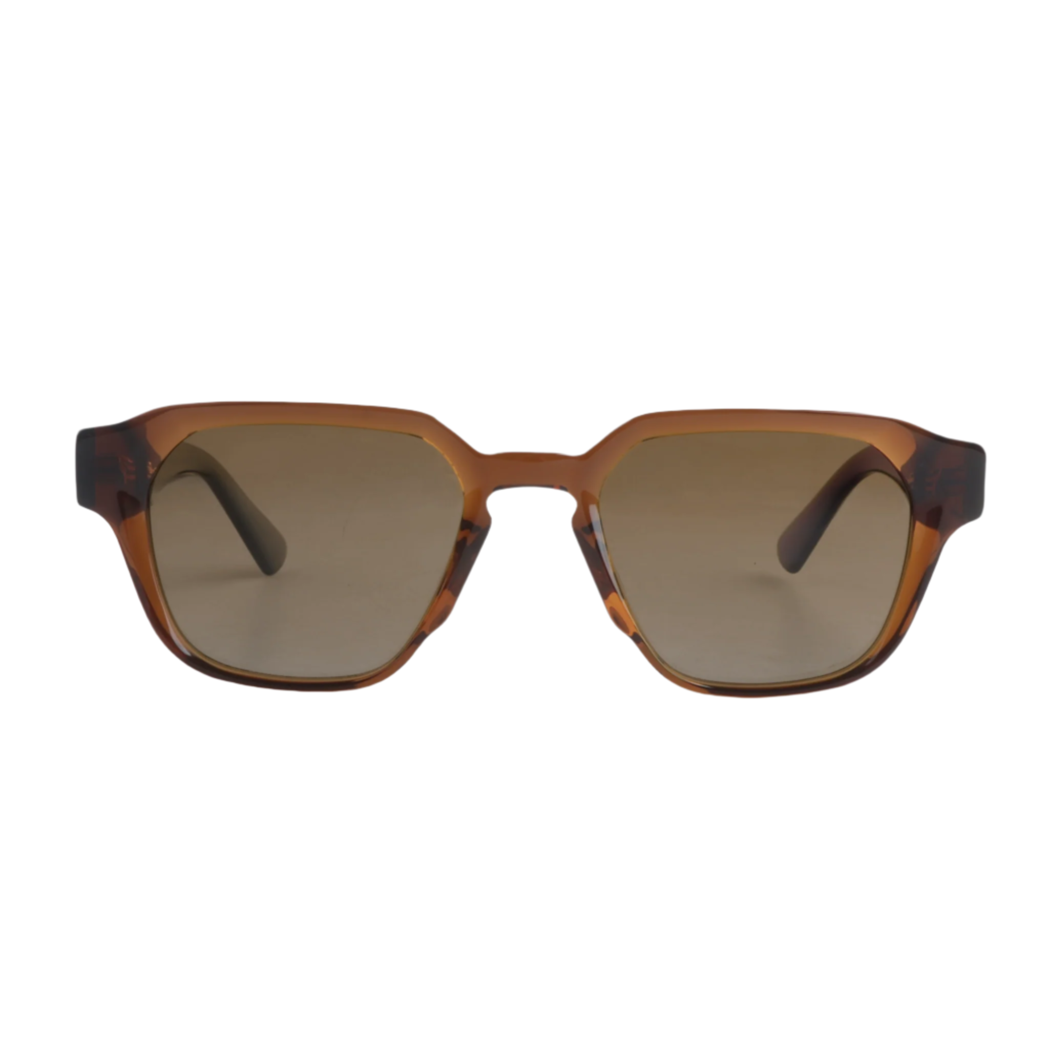 Lenzo Expedition Brown Frame with Gradient Brown Lenses Medium