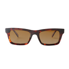 Lenzo Cruiser Tortoise Brown Frame with Brown Lenses Medium