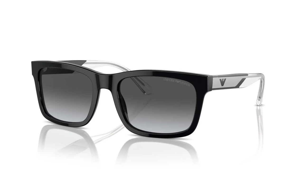 EMPORIO ARMANI 0EA4224 Sunglasses
