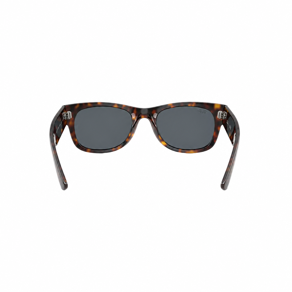 RAY-BAN RB0832S Sunglasses