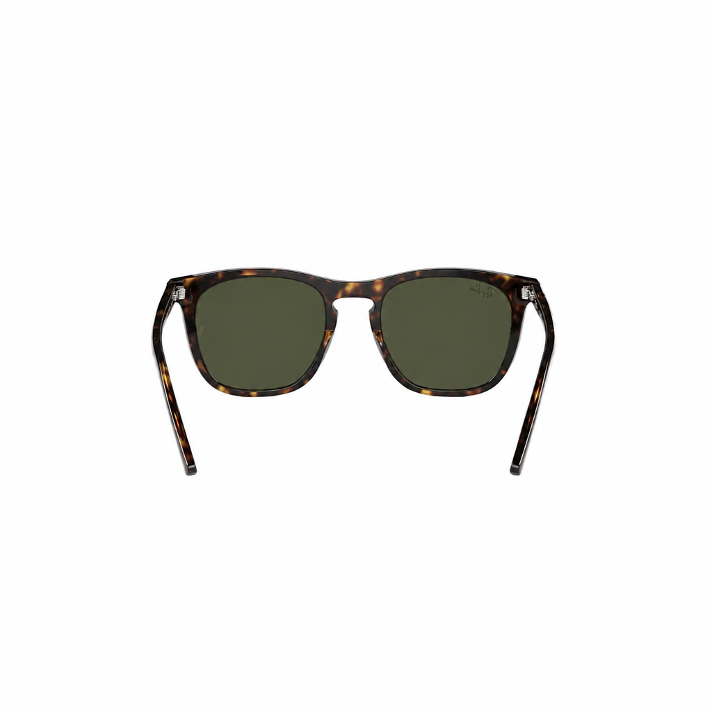 RAY-BAN RB2210 Sunglasses