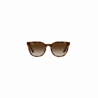 RAY-BAN RB43811 Sunglasses Tortoise Brown Medium
