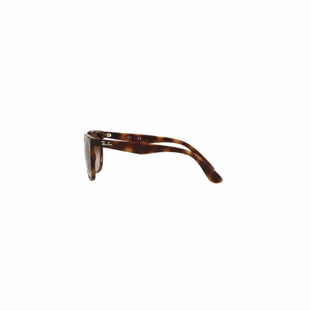 RAY-BAN RB43811 Sunglasses