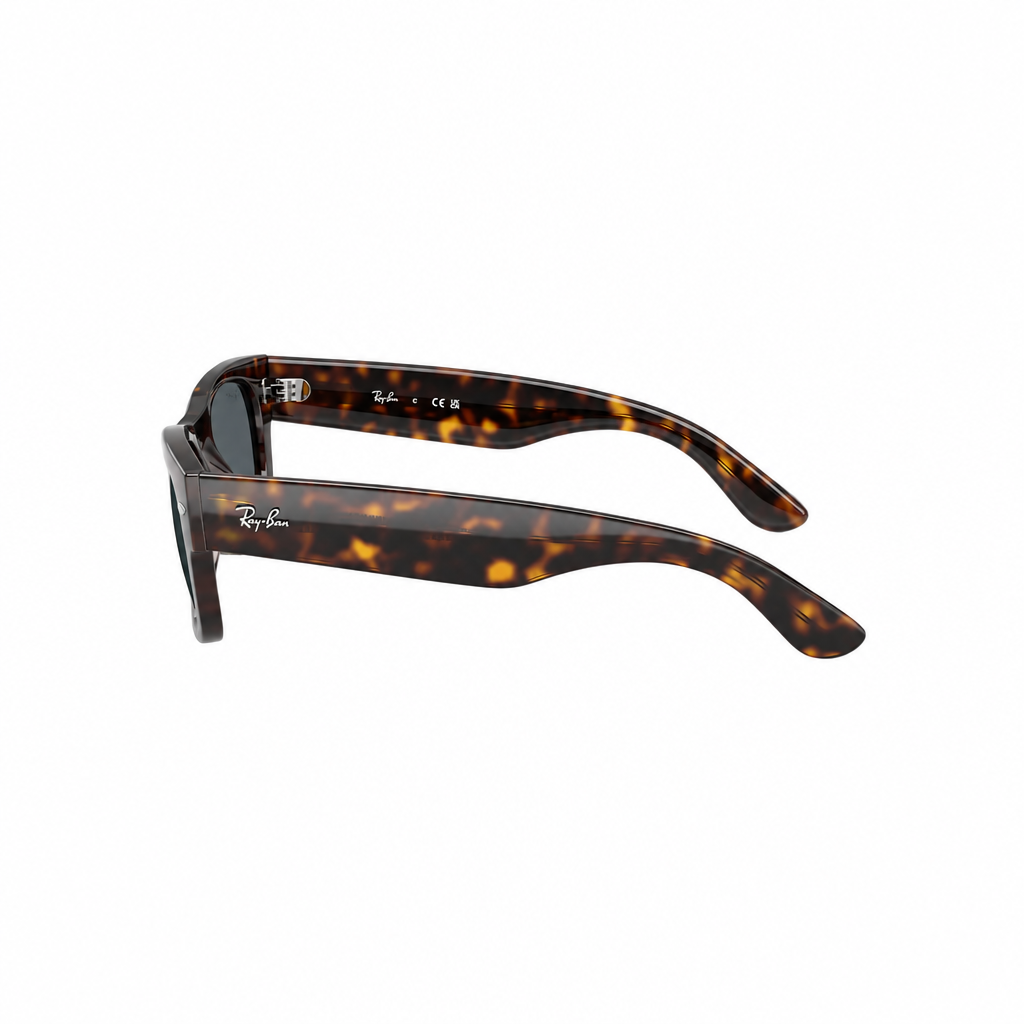 RAY-BAN RB0832S Sunglasses