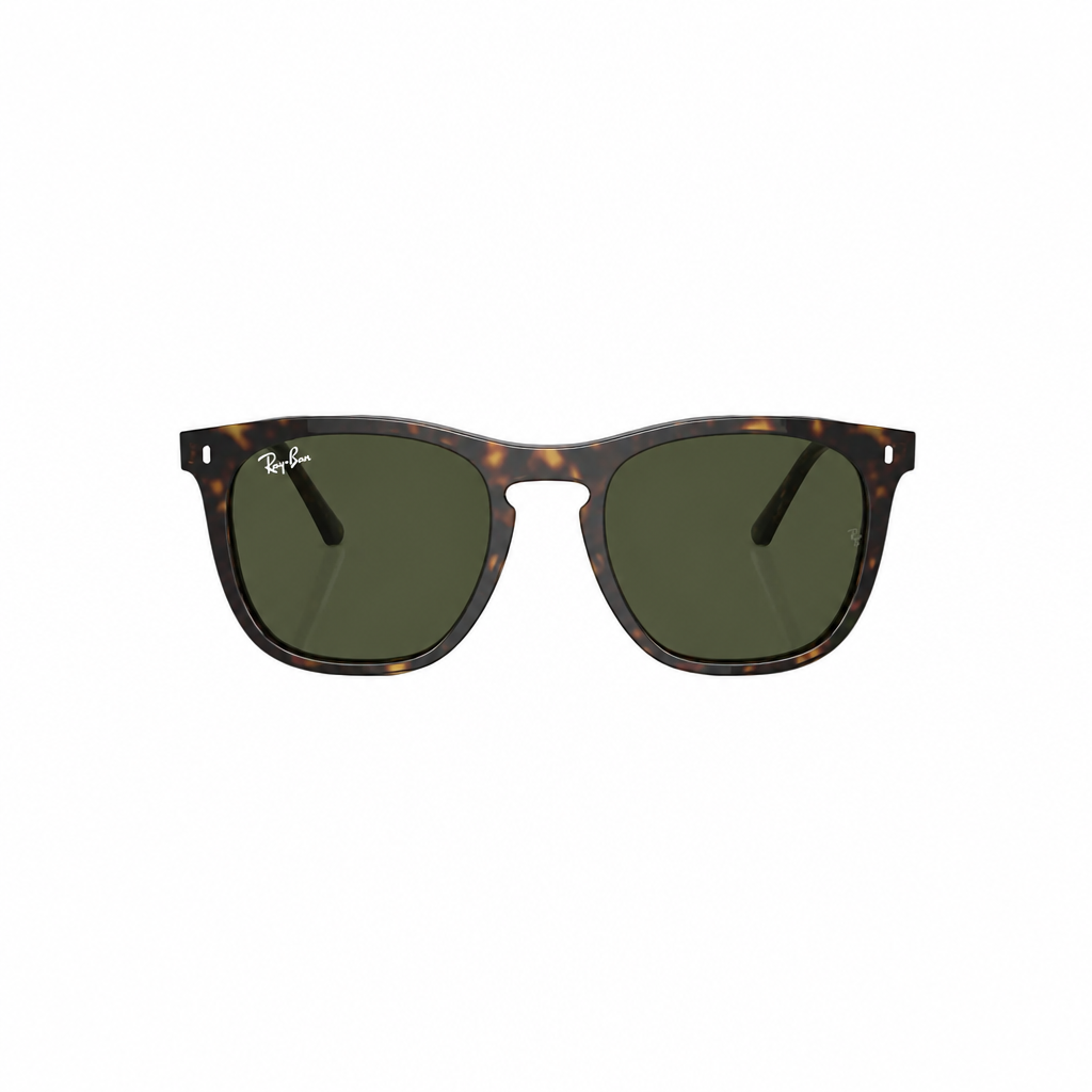 RAY-BAN RB2210 Sunglasses
