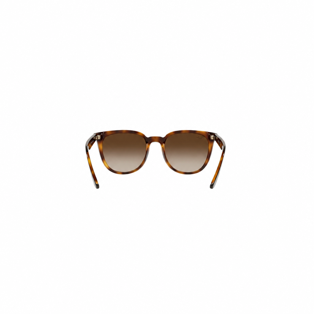 RAY-BAN RB43811 Sunglasses