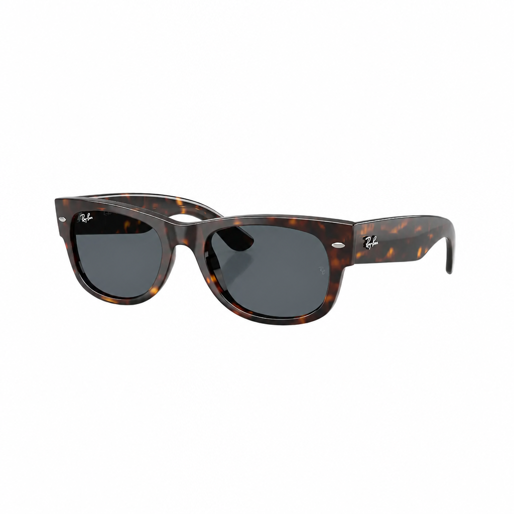RAY-BAN RB0832S Sunglasses