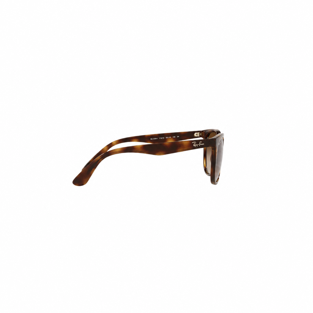 RAY-BAN RB43811 Sunglasses
