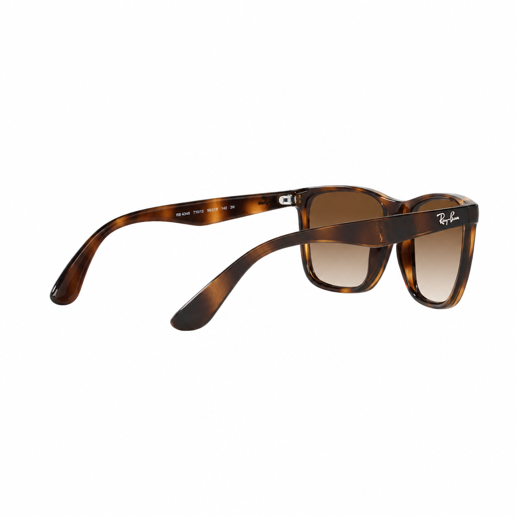 RAY-BAN RB43491 Sunglasses