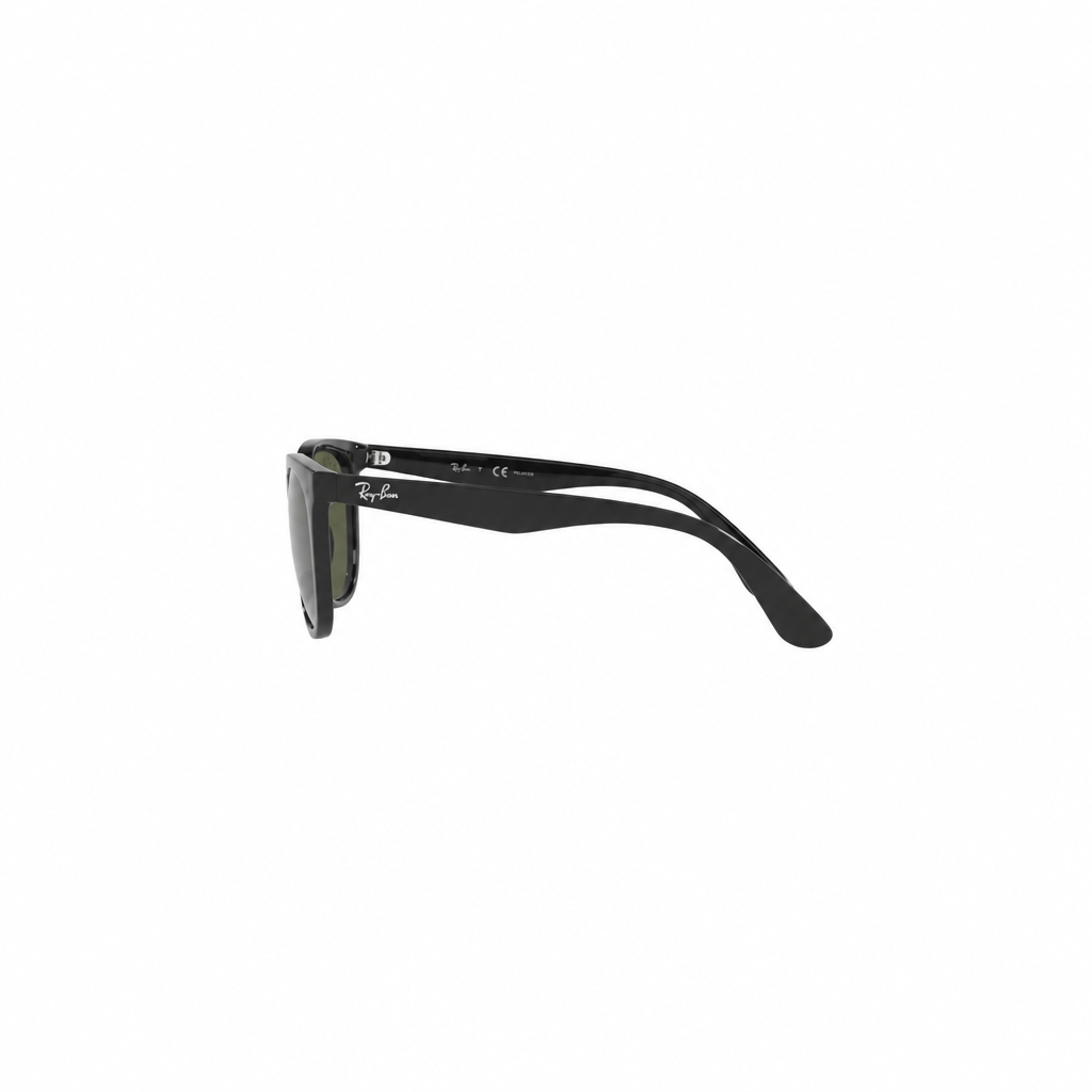 RAY-BAN RB43811 Sunglasses