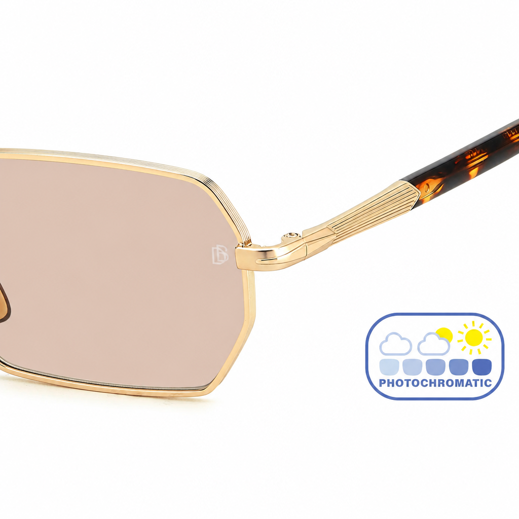 DAVID BECKHAM DB 1174/S Sunglasses