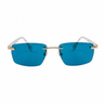 Macaw Blue